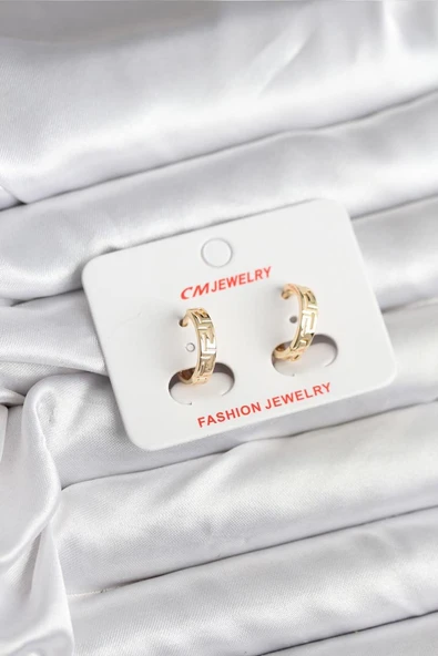14K Gold Renk Kaplama CM Kadın Küpe - TJ-BKP11405 TG-1395 346461 ürün görseli 1