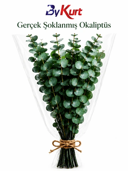 Şoklanmış Gerçek Okaliptüs Demeti Dekoratif Kuru Çiçek Vazo ve Ev Ofis Dekoru ürün görseli 1