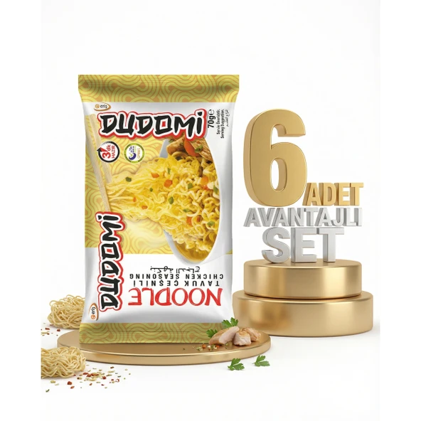Dudomi Tavuk Çeşnili Noodle 6x70 Gr ürün görseli 1