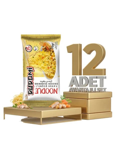 Dudomi Tavuk Çeşnili Noodle 12x70 Gr ürün görseli 1