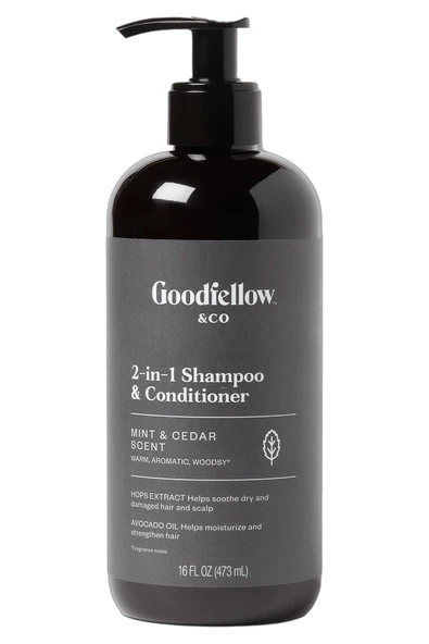 Goodfellow & Co 2'si 1 Arada Şampuan ve Saç Kremi 473ML ürün görseli 1