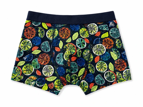 Cazador Erkek Boxer Desenli Pamuklu ve Likralı 93030 ürün görseli 1