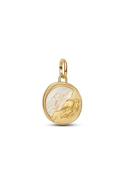 Pegasus Madalyon Charm ürün görseli 1