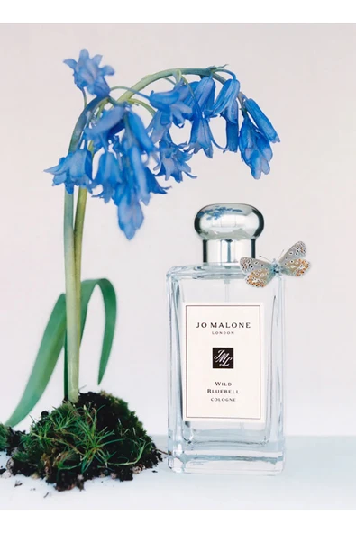 Wild Bluebell Cologne - Resim 5