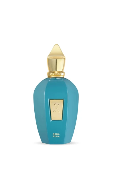 Vibe Collection Erba Pura EDP 100ml - Resim 5