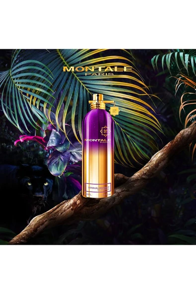 Sensual Instinct EDP 100ml Unisex Parfum - Resim 4