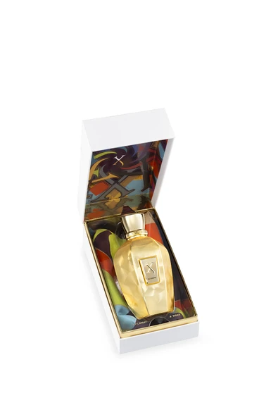 XerjoffAccento Overdose EDP 100ml - Resim 3