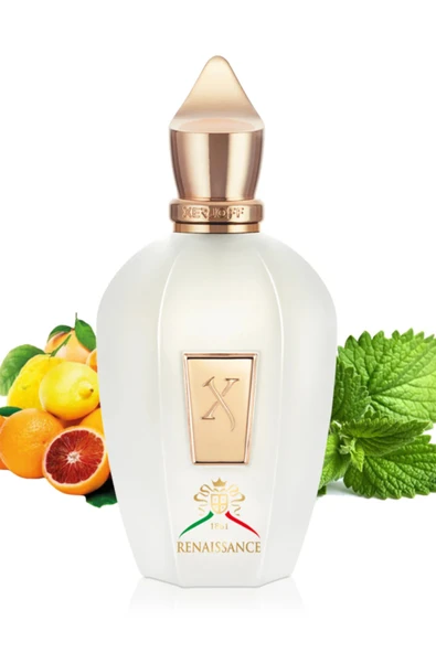 EDP 100ml Unisex Parfum - Resim 6