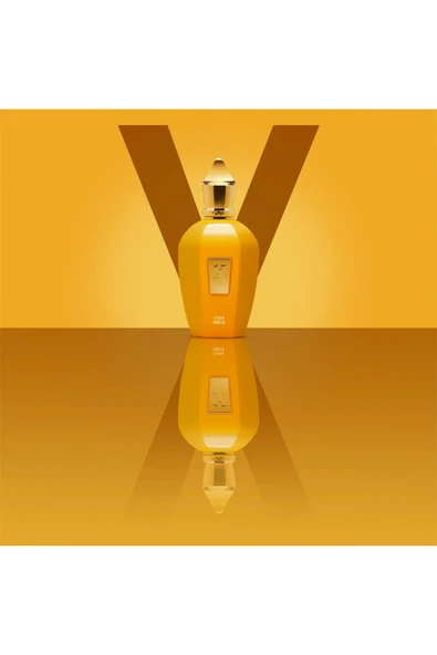 Vibe Collection Erba Gold EDP 100ml - Resim 3