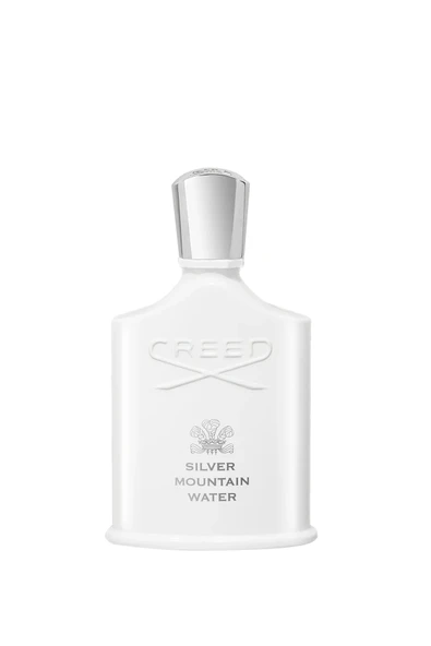 Silver Mountain Water EDP 100ml ürün görseli 1