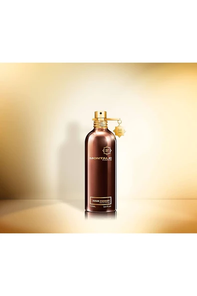 Aoud Forest EDP 100ml ürün görseli 1
