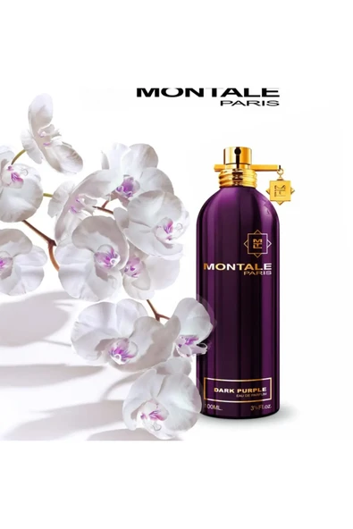Dark Purple EDP 100ml Unisex Parfum - Resim 3