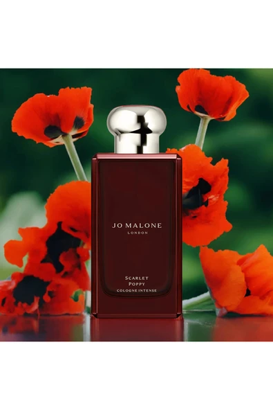 Scarlet PoppyCologne Intense - Resim 2