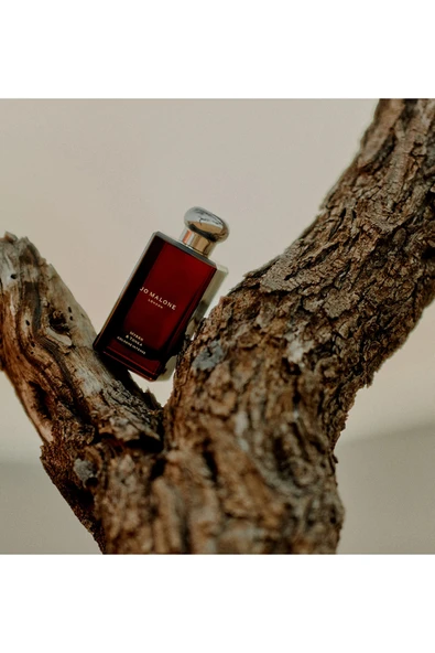 Myrrh & Tonka Cologne Intense - Resim 3
