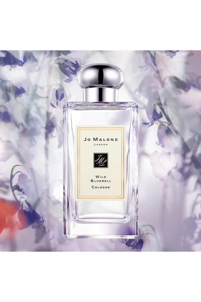 Wild Bluebell Cologne - Resim 4