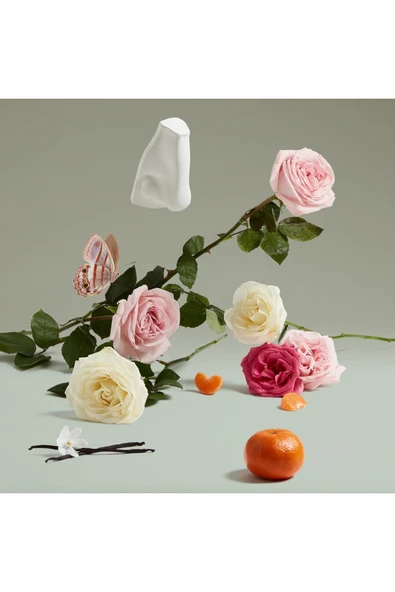 The Coveted Duchess Rose EDP 75ml - Resim 3