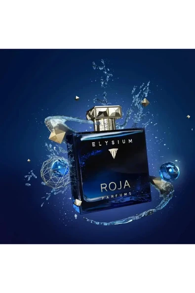 Roja Elysium Pour Homme EDP 100ml Parfüm - Resim 2