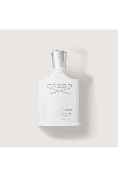 Silver Mountain Water EDP 100ml - Resim 4