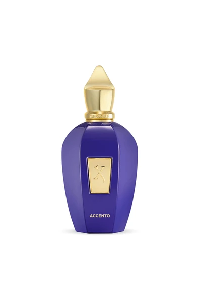 Vibe Collection Accento EDP 100ml Unisex Parfum ürün görseli 1