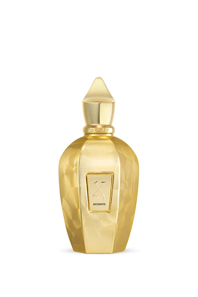 XerjoffAccento Overdose EDP 100ml ürün görseli 1