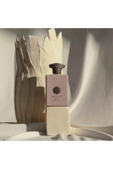 Opus V Woods Symphony EDP 100ml - Resim 3