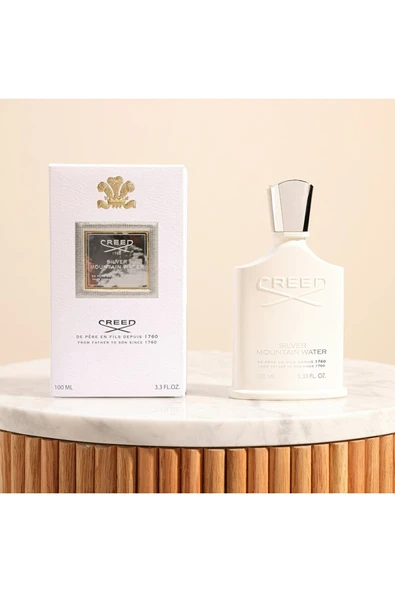 Silver Mountain Water EDP 100ml - Resim 3