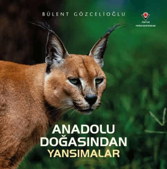 Anadolu Doğasından Yansımalar ürün görseli 1