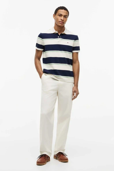 VARIED ROADMAP STRIPE REG POLO Erkek Mavi T-Shirt - MW0MW44325 ürün görseli 1