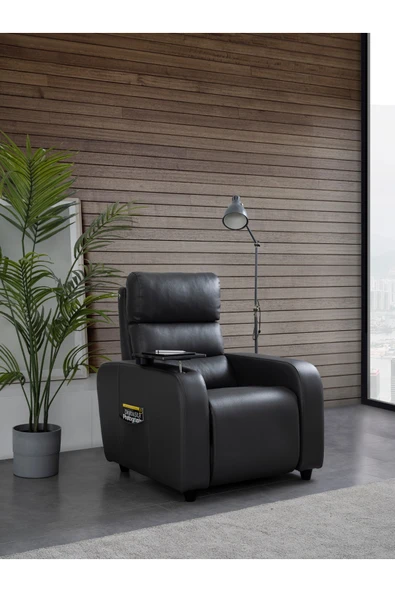Fit Care Golden Tablalı Sinema Ve Tv Koltuğu ürün görseli 1