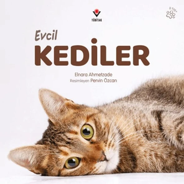 Evcil Kediler ürün görseli 1