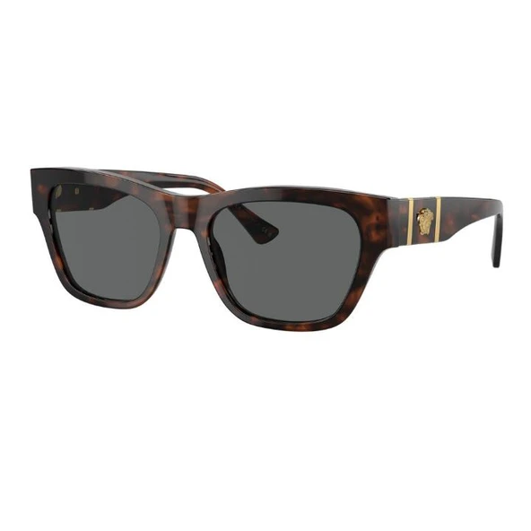 Versace 0VE4457 54298755 Asetat Erkek Güneş Gözlüğü ürün görseli 1