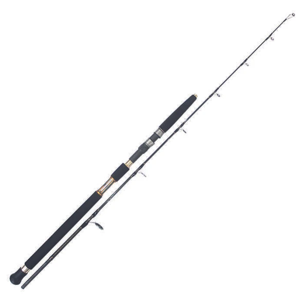 Albastar Elements 2210 Jig Olta Kamışı ürün görseli 1