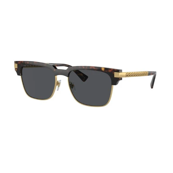 Versace 0VE4447 108/8755 Enjeksiyon Erkek Güneş Gözlüğü ürün görseli 1