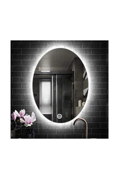 GLOBAL LED MIRROR 55x75 Cm Dokunmatik Tuşlu Elips Ledli Ayna Banyo Aynası Dekoratif Ayna Boy Ayna Salon Duvar Ayna ürün görseli 1