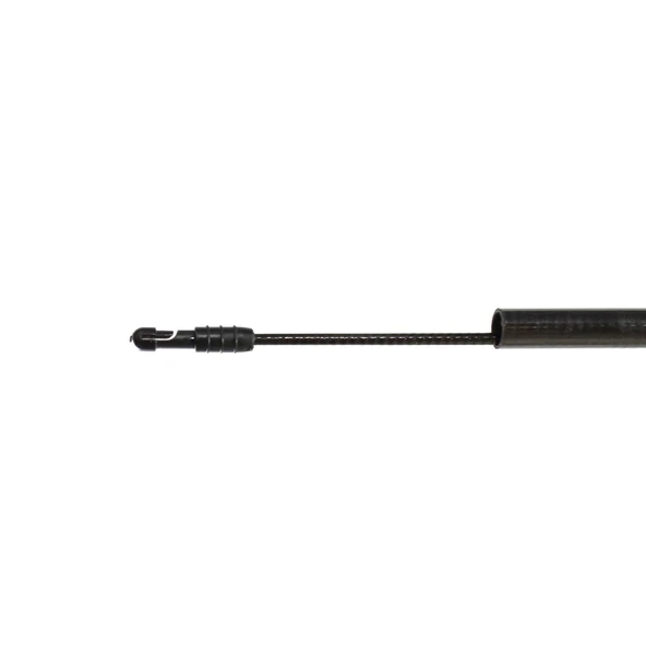 Captain 1005 Regular Pole 30T Karbon Göl Kamışı - Resim 2