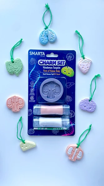 SMARTA CHARMS - KARACİĞER - Resim 2