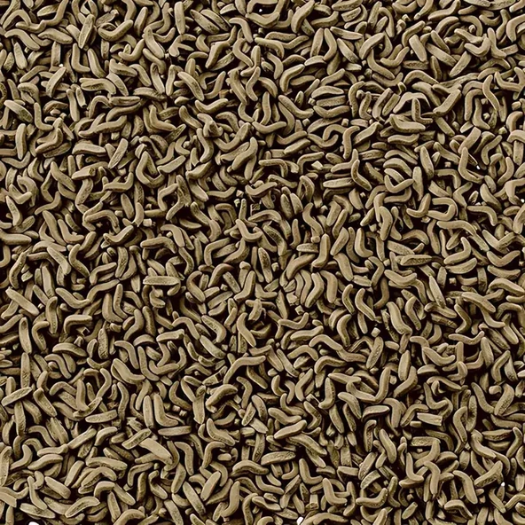 Tetra Reptomin Çubuk Kaplumbağa Yemi Açık 100Gr ürün görseli 1
