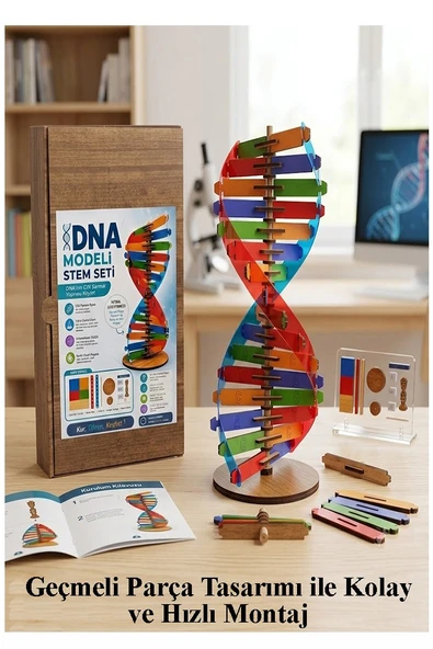 Dna Modeli 1 Paket Ahşap DNA Yapım Seti Dna Sarmalı Deney Yapım Seti Okul Materyali Fen Bilimleri ürün görseli 1