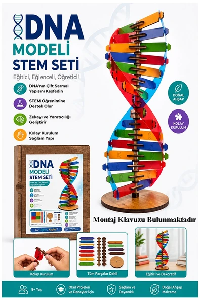 Dna Modeli 1 Paket Ahşap DNA Yapım Seti Dna Sarmalı Deney Yapım Seti Okul Materyali Fen Bilimleri ürün görseli 1