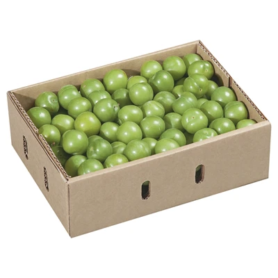 Erik Papaz 2-3 Kg Lık Mini Kutuda Kg (3'li Paket) ürün görseli 1