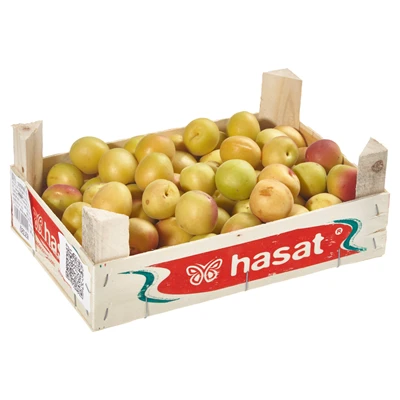 Kayısı Şekerpare 2-3 Kg Lık Mini Kutuda Kg (6'li Paket) ürün görseli 1