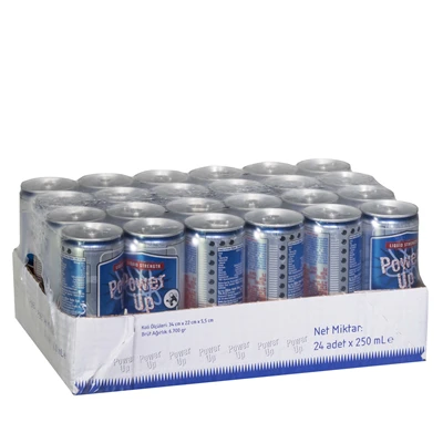 Power Up Kutu Enerji İçeceği 250Ml 24Ad (2'li Paket) ürün görseli 1