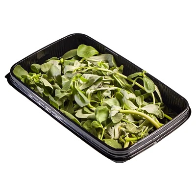 METRO Chef Semizotu(Corn Salad) 150 G (5'li Paket) ürün görseli 1