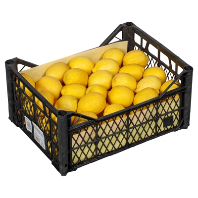 Limon 8-9 Kg Lık Kasada Kg (5'li Paket) ürün görseli 1