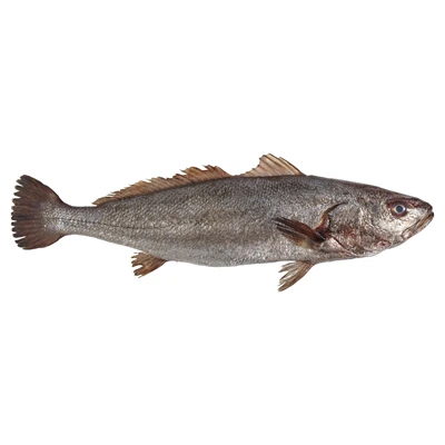 Granyöz Toprak (400-600G) Kg (2'li Paket) ürün görseli 1
