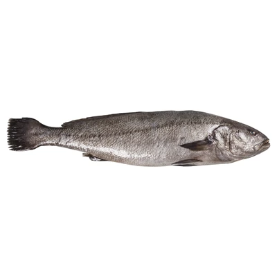 METRO Chef Kaya Levreği (1-1,5 Kg) Kg (7'li Paket) ürün görseli 1