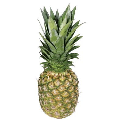 Ananas Adet (6'li Paket) ürün görseli 1