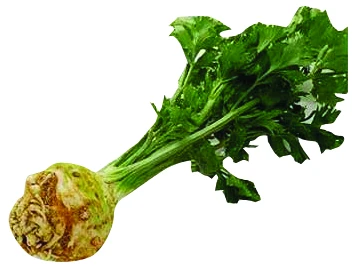 Kereviz 1 Kg Lık Pakette Kg (8'li Paket) ürün görseli 1