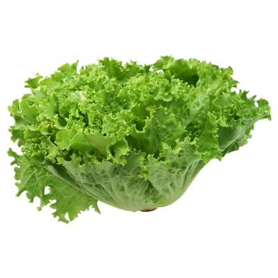Kıvırcık Kasada 6Lı (8'li Paket) ürün görseli 1