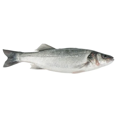 Levrek Toprak Havuz (400-600G) Kg (6'li Paket) ürün görseli 1
